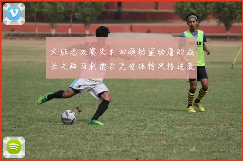 文班总决赛失利回顾幼鲨幼詹的成长之路马刺能否凭借独特风格逆袭成功