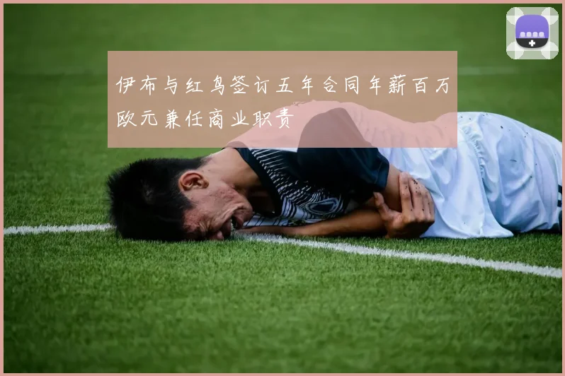 伊布与红鸟签订五年合同年薪百万欧元兼任商业职责